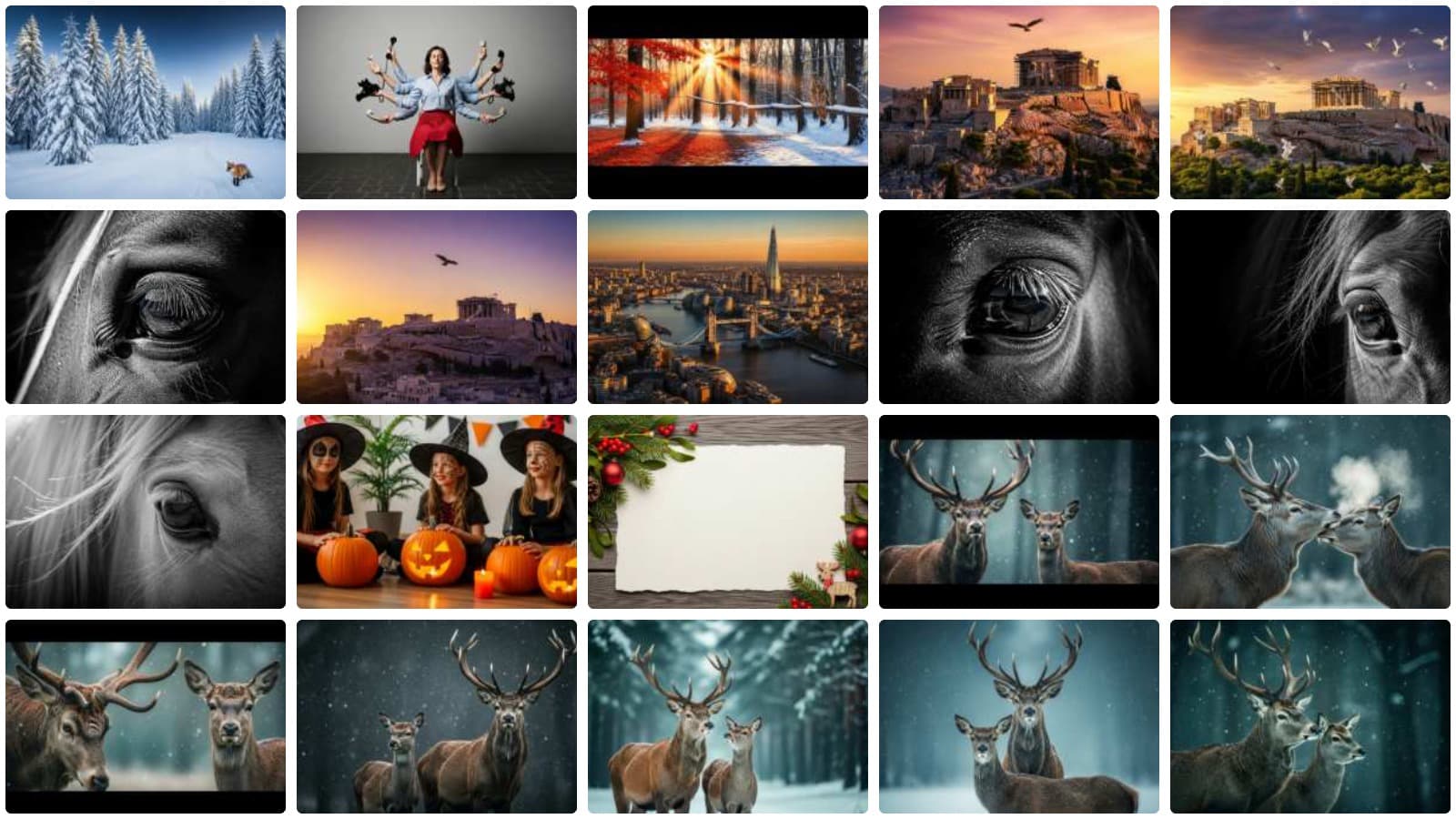 Wild Kingdom Collection Vol. 2